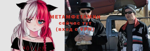 сатива Елабуга