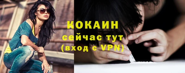 стафф Дмитриев