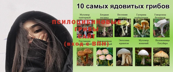 твердый Елизово