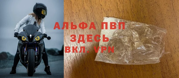 сатива Елабуга