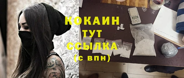 твердый Елизово