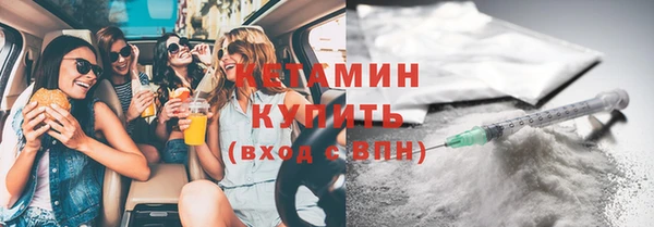 сатива Елабуга
