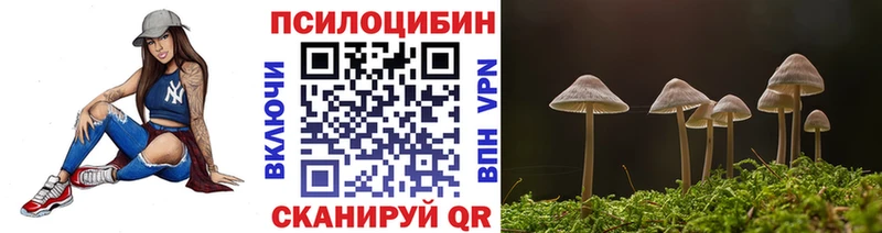 Галлюциногенные грибы GOLDEN TEACHER  как найти закладки  Закаменск 